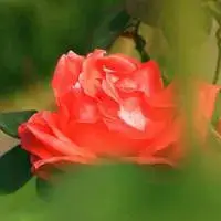 Snipaste_2024-11-07_16-52-55.jpg